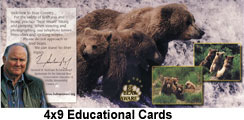 4x9EducationalCards